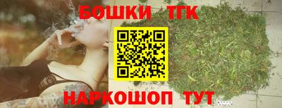 тгк Можга